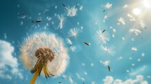A Gentle Breeze Carries Dandelion Seeds Through The Air, Creating A Mesmerizing Dance Of Delicate Tufts Against A Backdrop Of Blue Sky 