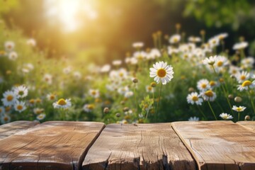 an empty wooden table with a background of blooming chamomile. display your product outdoors. mockup.