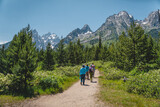 Fototapeta Natura - People hiking toward the Teton mountain range in Grand Teton National Park