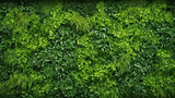 Fototapeta Tulipany - Abstract texture and background as greenwall. AI Generative