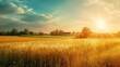 © shooreeq - Countryside vacation greeting card template, blank space for text, colorful, bright, professional photo