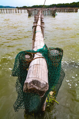 Wooden or bamboo poles in river.Fishing nets, river trout farming