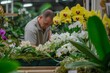 grower arranging a display of various orchids