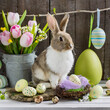Happy Easter, festive card with bunny.