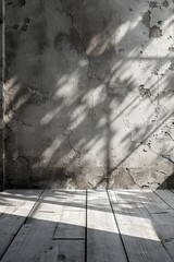 A clean, unadorned concrete wall bathed in soft, diffused natural light.