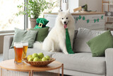 Cute Samoyed dog with green necktie sitting on sofa at home. St. Patrick's Day celebration
