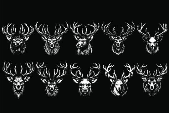 Set Bundle Dark Art Deer Stag Beast With Big Horn Animal Skull Horror Vintage Grunge Style illustration for Merch