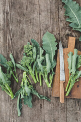 Wall Mural - Freshly cut bunches of broccoli with stems on a grey wooden table.