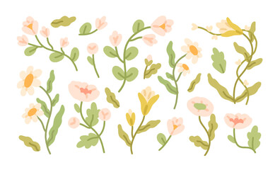 Poster - Flowers set. Spring blooms, blossomed branches, floral design elements. Summer botanical stems, wildflowers, leaf decoration collection. Flat vector illustrations isolated on white background