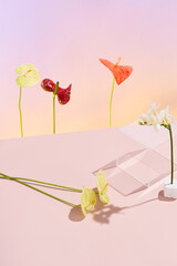 Poster - Trendy floral arrangement with transparent geometric shapes on a pastel background
