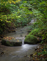 The waterfall in green forest