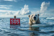 Polar Bear on Melting Ice Floe with SOS Sign
