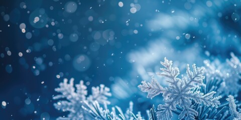 Poster - Close up of snow flakes on a tree. Perfect for winter-themed designs and holiday promotions