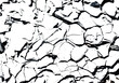 Illustration and mosaic of cracks in rock and transparent background.