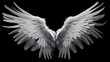 The striking contrast of white angel wings against a dark black background, as if illuminating the space with their celestial presence and radiance