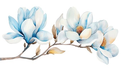 Wall Mural - Watercolor blue magnolia branch isolated on white background