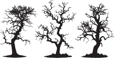 Set Trees. Hand drawn vector illustration