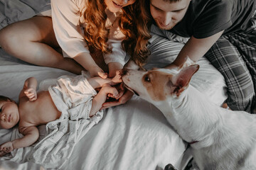 Dog sniffing and licking the toes of a newborn baby