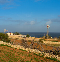 Poster - typical cottage and wind wheels in the countryside of Malta in warm evening light