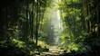 lush bamboo forest, the play of light and shadow creating a natural mosaic