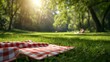 © ArtCookStudio - A cheery, checkered picnic blanket under the sun creates an inviting summer scene