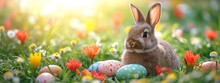 Cute Little Easter Bunny Sitting Near Easter Eggs In Flowery Meadow, Golden Hour, Sun Is Shining, Banner Image
