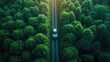 Electric cars going through the forest, EV electric power for the environment natural energy technology Sustainable development goals green energy.