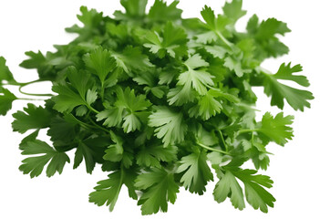 Wall Mural - Fresh green chopped parsley leaves isolated on white background