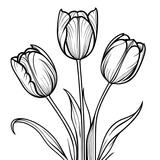 Fototapeta Tulipany - Tulip flower outline digital coloring page for kids and adults
