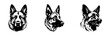 © Pixel Pine - German Shepherd dog breed head vector illustration. Pet portrait in style of hand drawn black doodle on white background