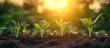 © Wildan - Young plants are growing from the rich soil to the morning sunlight. Ecology concept.