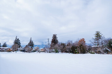 Sticker - 大雪が降った日の風景　松本市