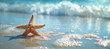 starfish on the ocean background, concept of summer holiday, tropical beach