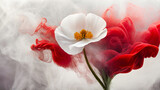 Fototapeta Kwiaty - Biały kwiaty abstrakcyjny