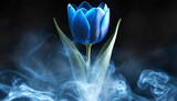 Fototapeta Kwiaty - Niebieski kwiat tulipan , abstrakcyjny dym