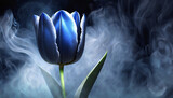 Fototapeta Kwiaty - Niebieski kwiat tulipan w dymie