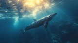 Fototapeta Do akwarium - a humpback whale swims under the water's surface, with sunlight streaming through the water's surface.