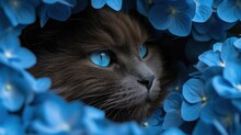 A Close Up Of A Cat With Blue Eyes In A Bunch Of Blue Flowers With Water Droplets On Its Face.