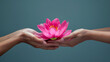 Beautiful lotus flower in female hands. Concept of relaxation, yoga,meditation, silence and calmness. Hand holding a lotus flower, water lily. Vesak day, Buddhist lent day, Buddha's birthday symbol.