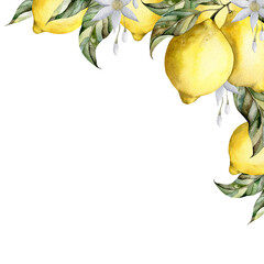 Hand-drawn watercolor illustration with lemon on a branch with leaves. Composition for decoration and design posters, postcards, banners