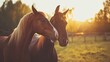 Two horses nuzzling each other in a sunlit pasture, generative ai