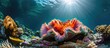 Underwater photography of vibrant marine life on a tropical coral reef, featuring a red saltwater clam (Ctenoides ales).