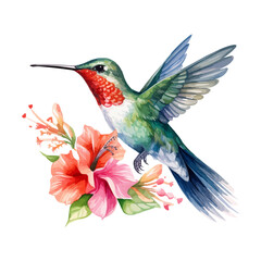 Poster - watercolor Hummingbird clipart for graphic resources