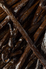 Wall Mural - Organic Raw Madagascar Vanilla Beans