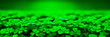 Leinwandbild Motiv Green background with four-leaved shamrocks, Lucky Irish Four Leaf Clover in the Field for St. Patricks Day holiday symbol. with four-leaved shamrocks, St. Patrick's day holiday symbol