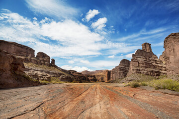 Canvas Print - Road in Bolivia