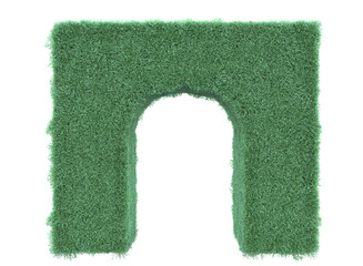 Wall Mural - plant hedges arch isolated