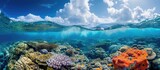 Fototapeta Do akwarium - Underwater photoshoot of coral reef with waves and blue sky.
