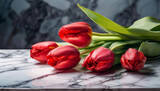 Fototapeta Tulipany - Tulipany, piękne czerwone wiosenne kwiaty. Bukiet tulipanów