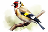 Fototapeta  - European goldfinch Bird illustration. Highly detailed image of forest and garden avian. Beautiful and colorful ornithology background.